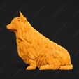 675-Australian_Terrier_Pose_04.jpg Australian Terrier Dog 3D Print Model Pose 04