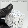 6.jpg Bone Sponge Printable
