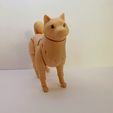 1645777468541.jpg Shiba inu BJD