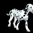 0_00065.jpg DOG - DOWNLOAD Dalmatian 3d model - Animated for blender-fbx- Unity - Maya - Unreal- C4d - 3ds Max - CANINE PET GUARDIAN WOLF HOUSE HOME GARDEN POLICE  3D printing DOG DOG