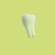 tooth-render.png HUMAN TOOTH MODEL