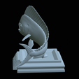 mahi-mahi-model-1-32.png fish mahi mahi / common dolphin trophy statue detailed texture for 3d printing