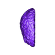 STL - brain.stl 3D Model of Human Brain - Right Hemisphere