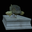Pike-statue-6.png fish Northern pike / Esox lucius statue detailed texture for 3d printing