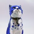 kitty_wizard_polyalchemy_1.jpg Schrodinky: British Shorthair Cat in a Box – 3D Printable, Multi Part Model - MULTI EXTRUSION PACKAGE