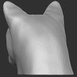 7.jpg Cougar / Mountain Lion head for 3D printing
