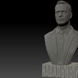 Nav_0004_Layer-18.jpg Alexei Navalny 3d print bust FREE Textured