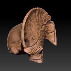 3.jpg Archivo STL skull death from Hellboy 2・Objeto imprimible en 3D para descargar
