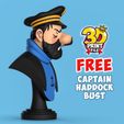 3.jpg captain haddock