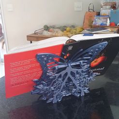 IMG_20230609_143217_933.jpg BUTTERFLY BOOK STAND 300 X 300 MM