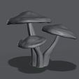 Mushroom_Patch1.jpg Mushroom Patch