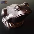 21435460_143346412938832_4475735425742274560_n.jpg Frog Sculpture 3D Scan