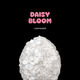 Daisy-Bloomthumb.png Daisy Bloom – Container