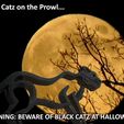 halloween_display_large.jpg Wild Catz... with Jaws that Bite and Growl!