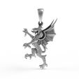 07.jpg 00039 Dragon Small Charm Pendant