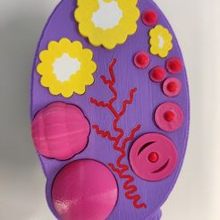 IMG_20200211_100224.jpg Archivo STL gratuito Ovaire - Ovary・Objeto para descargar e imprimir en 3D