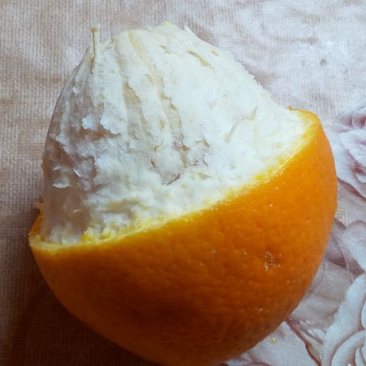 Knife for oranges. v.1 3D model