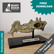 Protoceras-Cover-1.png Protoceras celer Skull