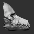 21.png Dog Skull Scary mask for cosplay