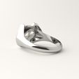 cat-ring-6.jpg Cat ring