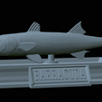 Barracuda-mouth-statue-23.png fish great barracuda / Sphyraena barracuda open mouth statue detailed texture for 3d printing
