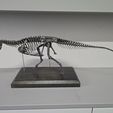 Carno-Printed.jpg Carnotaurus Skeleton 1:12 scale