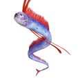 3E.jpg DOWNLOAD Hairtail DOWNLOAD FISH DINOSAUR DINOSAUR Hairtail FISH 3D MODEL ANIMATED - BLENDER - 3DS MAX - CINEMA 4D - FBX - MAYA - UNITY - UNREAL - OBJ -  Hairtail FISH DINOSAUR