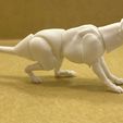 IMG_7044.jpg 1/12 Scale Thylacine Action Figure