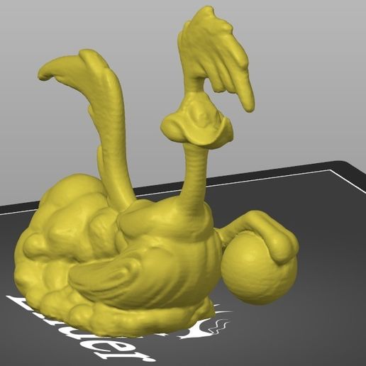 road-runner.jpg road runner