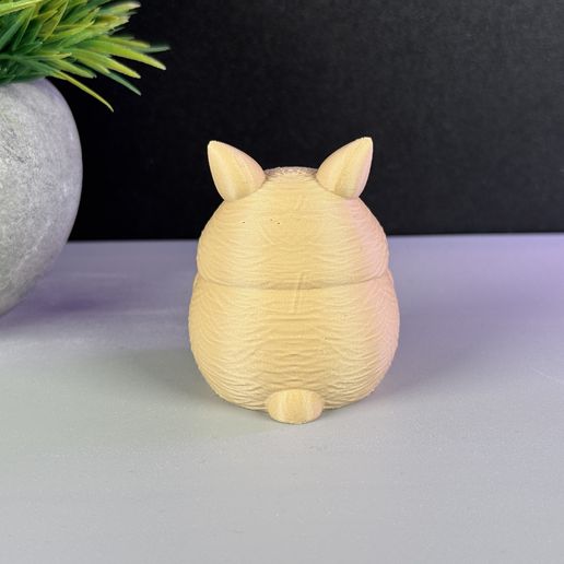 IMG_4714.jpg Conejito lindo