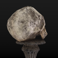 Skull-table2_Diffuse0042.png Human Skull Low Poly
