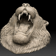a156d954-d7fe-4732-9259-9609965d0885.png roaring tiger head
