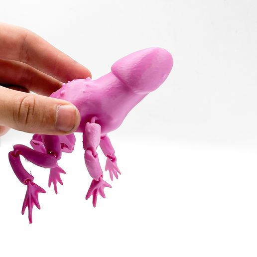 Ding Ding Flexi Penis Toad Frog articulated print-in-place no supports  STL File for 3D printingCults