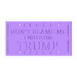 dontblameme.stl Trump License Plate
