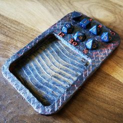 IMG_20200306_100037.jpg OBJ file D&D Dice Tray - Dragon Skin・3D print design to download