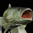 Bass-trophy-24.png Largemouth Bass / Micropterus salmoides fish in motion trophy statue detailed texture for 3d printing