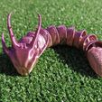 DHC_Curled_Front.jpg Articulated Dragon Headed Caterpillar