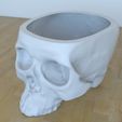 05.jpg skull plantpot
