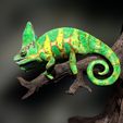 Chameleon_Scene1-5.jpg Chameleo Calyptratus- Yemen Chameleon-STL with Full-Size Texture- High-Polygon 3D Model