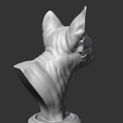 07.png Sphynx Cat Head AM08 3D print model