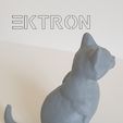 C.jpg Gato