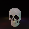 preview02.png Halloween Skull Mask (5 in 1 Package)