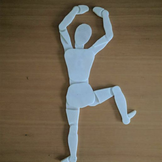 IMG_20180217_152332.jpg Human body template