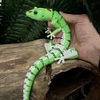 6.jpg Articulated Lizard - Print-In-Place Articulated Day Gecko