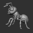 ANGRY-ANT-CHIBI-4.jpg Cute Chibi Angry Ant