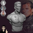 ref_-image206.png T800 - Arnold Schwarzenegger Terminator