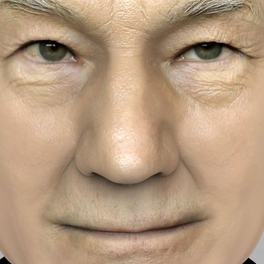 professor-x-charles-xavier-bust-ready-for-full-color-3d-printing-3d-model-obj-mtl-fbx-stl-wrl-wrz-1.jpg Professor X Charles Xavier from X-Men bust full color 3D printing