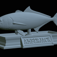 Greater-Amberjack-statue-30.png fish greater amberjack / Seriola dumerili statue detailed texture for 3d printing