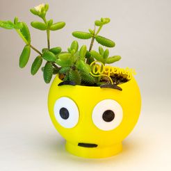 23.jpg STL file EMOJI VASE Surprise・3D print model to download