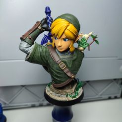 Link - Zelda TOTK - Skin Twilight Princess Bust - Gift Free